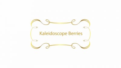 LSHOF-ScreenLogo-KaleidoscopeBerries